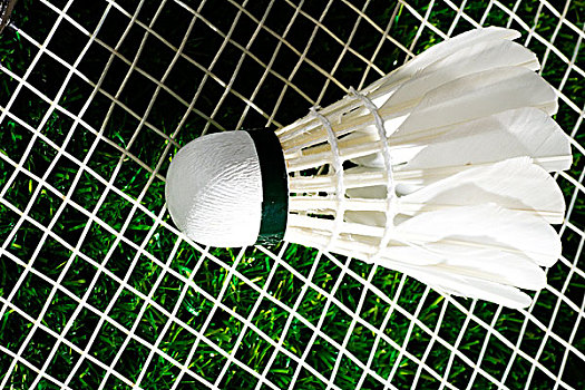 每一个热爱 每一个热爱