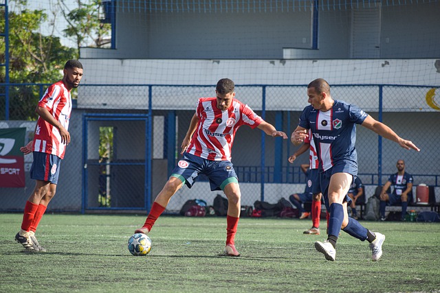 与灰熊的比 与灰熊的比