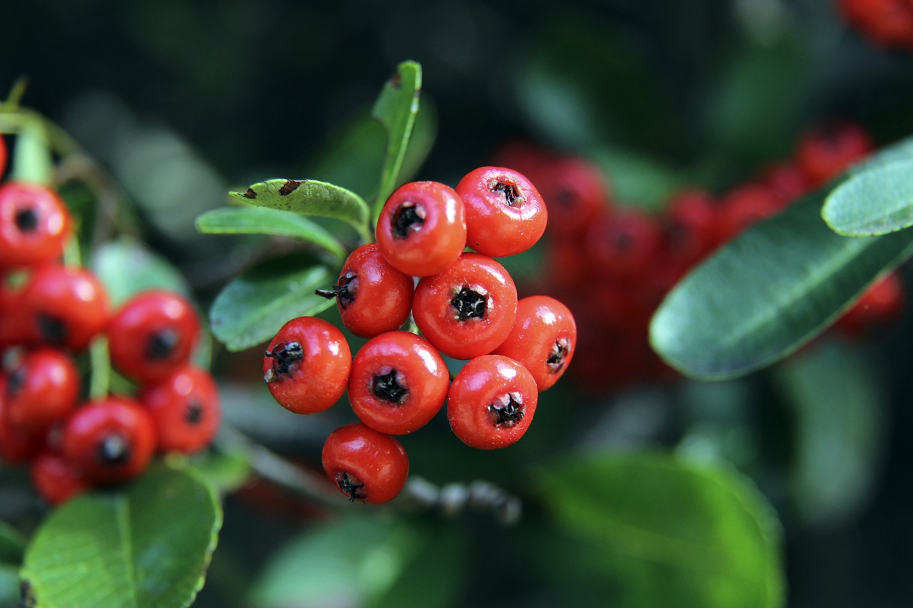 反映出两队 反映出两队